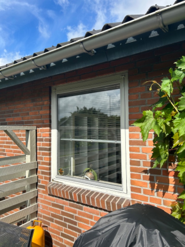 Maling af vinduer og udestue