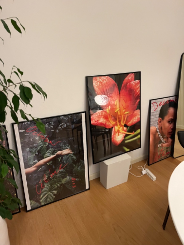 Hænge 15 rammer op i lejlighed