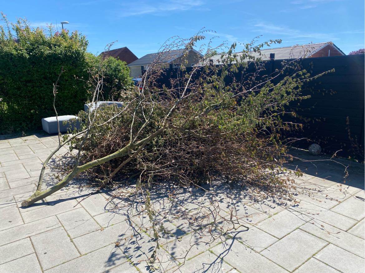 Bortskaffelse af grene