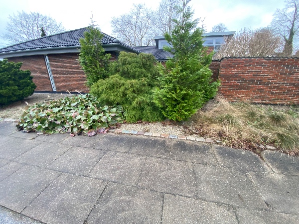 Ukrudtsdug og perlesten