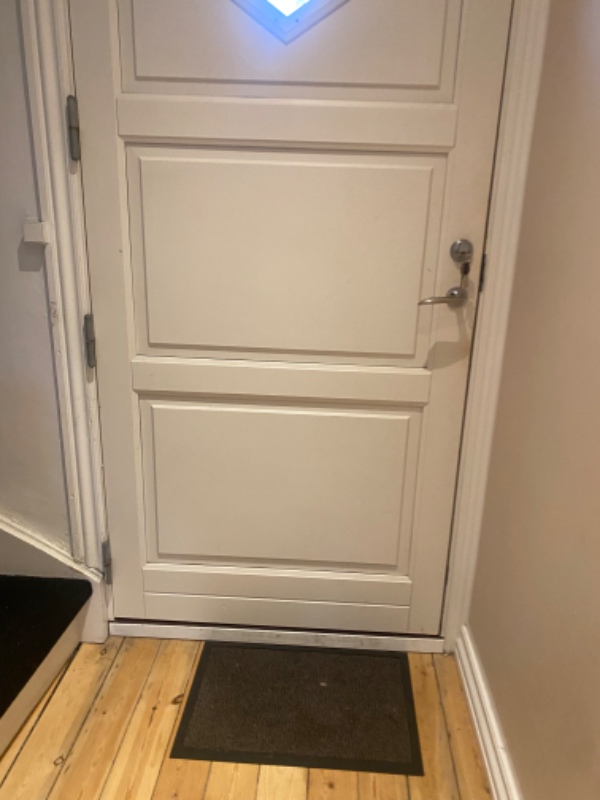 Lavet hul til kattelem i hoveddør