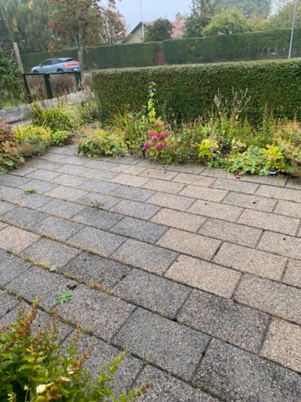 Pleje og vedligehold