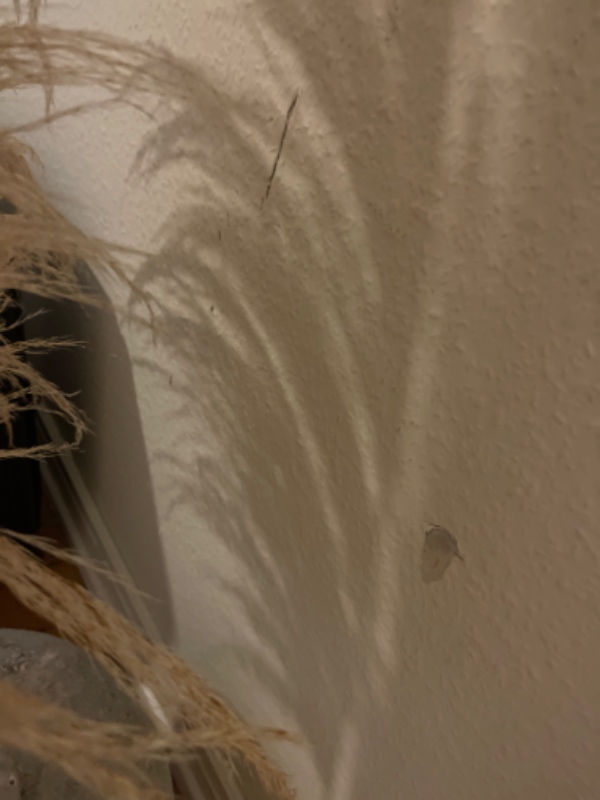 Fiks vægge og døre og loft