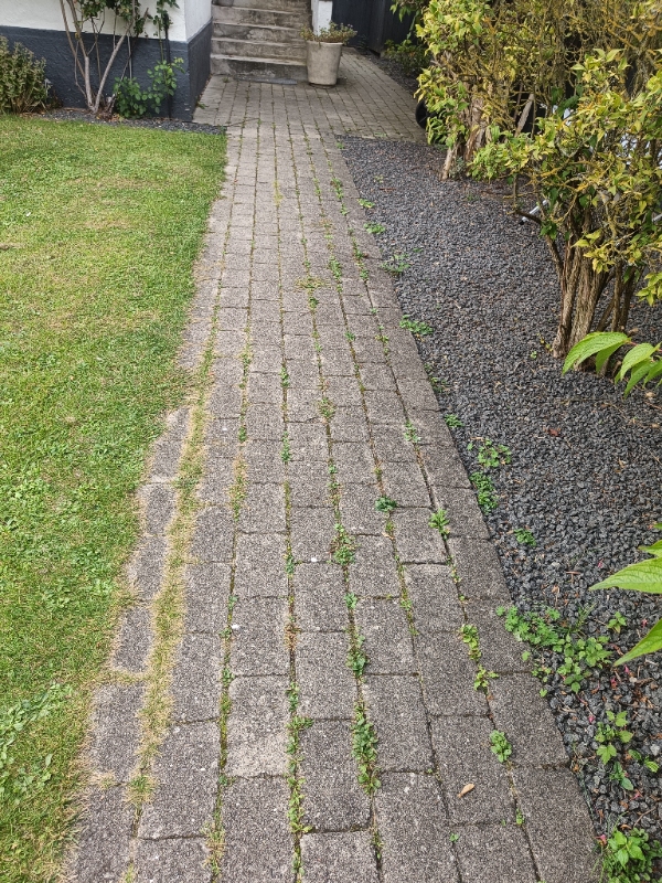 Fjernet ukrudt og kørt haveaffald væk