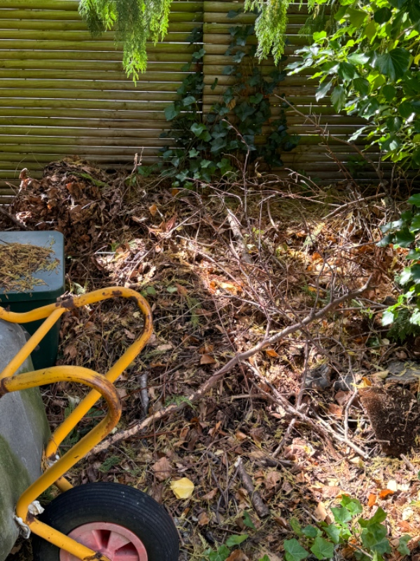 Hækklipning og bortkørsel af afklip