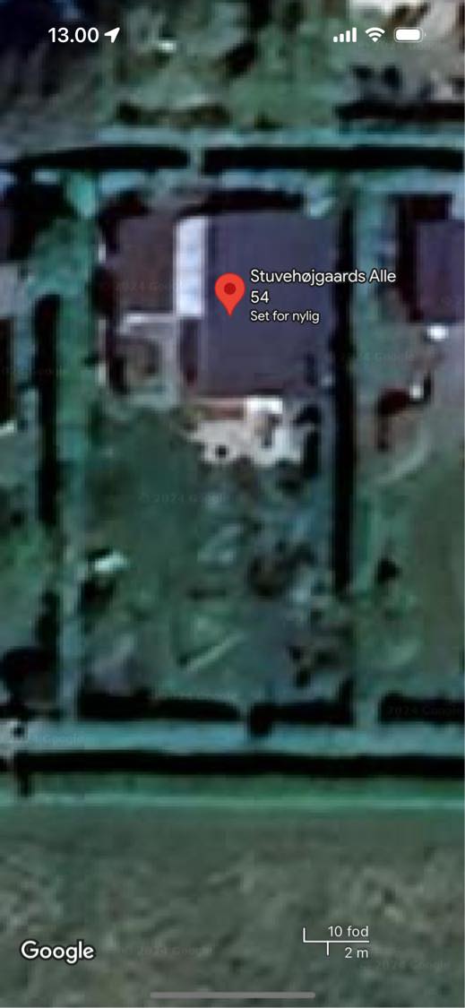 Klippe hæk (cirka 50 meter) og fjerne ukrudt på 2 stier omkring kilonihavehus