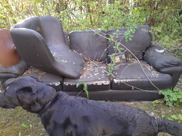 Fjernelse af diverse inkl. Sofa og skrald