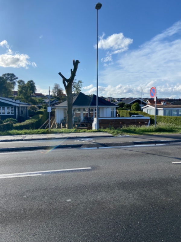 Trimmet og fældet en stor del af træet, grundet duer! Gerne så hurtigt som muligt!