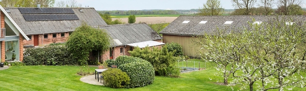 Nedtagning af asbesttag