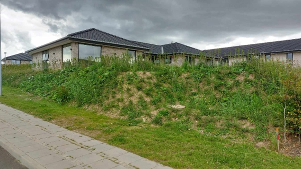 Fjerne ukrudt i have