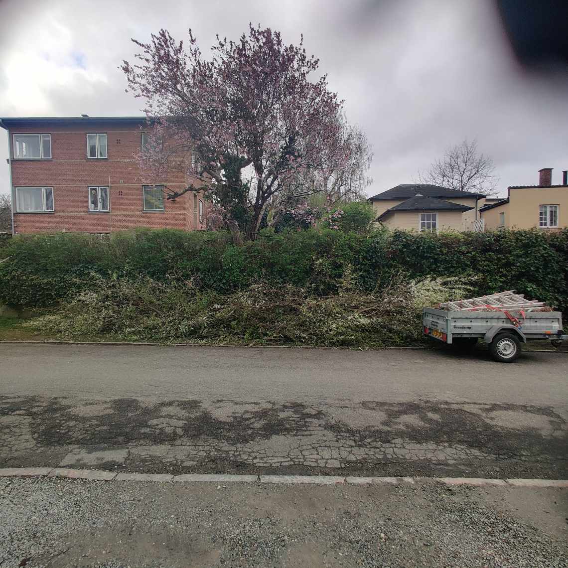 Gren bunke som skal køres på genbrugspladsen