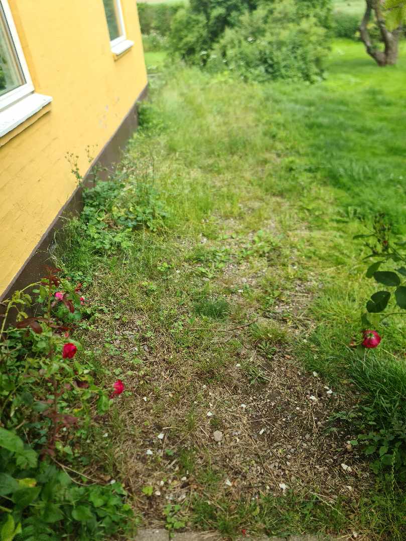 Fjernelse af jord/perlesten