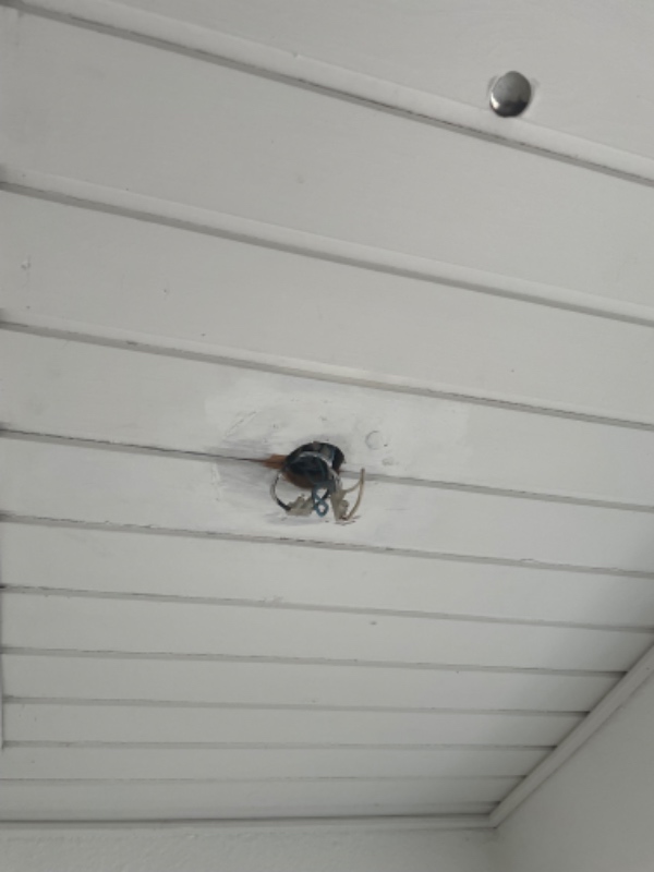 Opsætning af lamper og stik