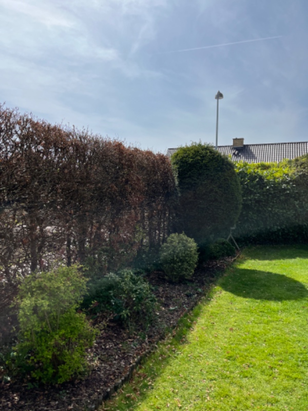 Hækklipning 70m total