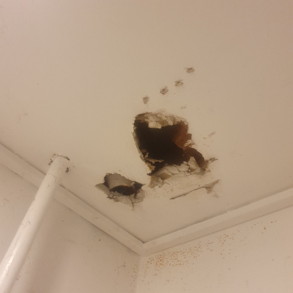 Lukning af huller i 2 badeværelser