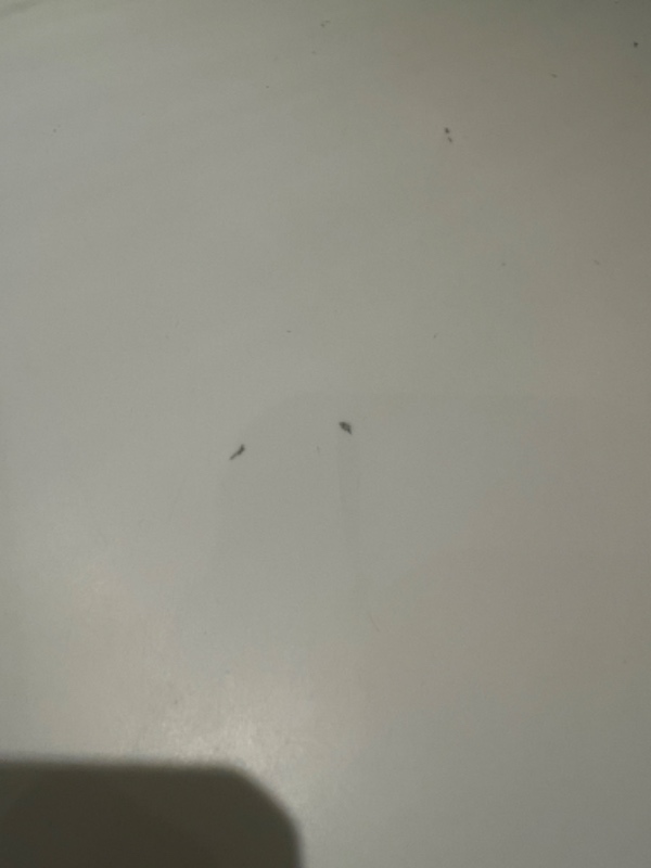 Restoration av hull i fliser og benken på badet.