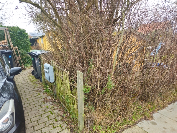 Fælde træ, hæk og lille hegn. Løsne jord.