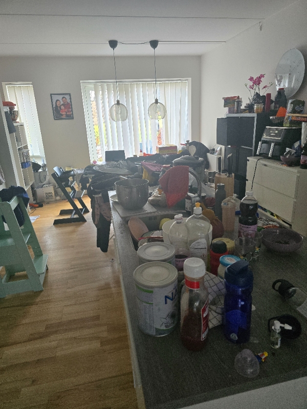 Oprydning og rengøring af hjem.