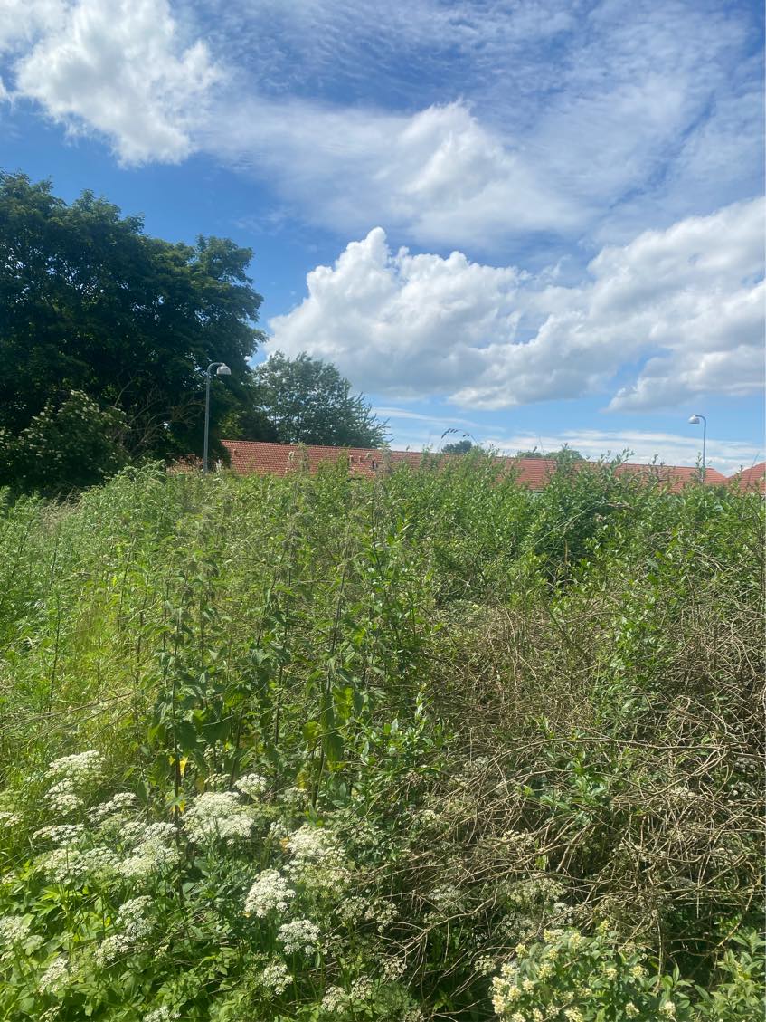 Køre hæk affald væk