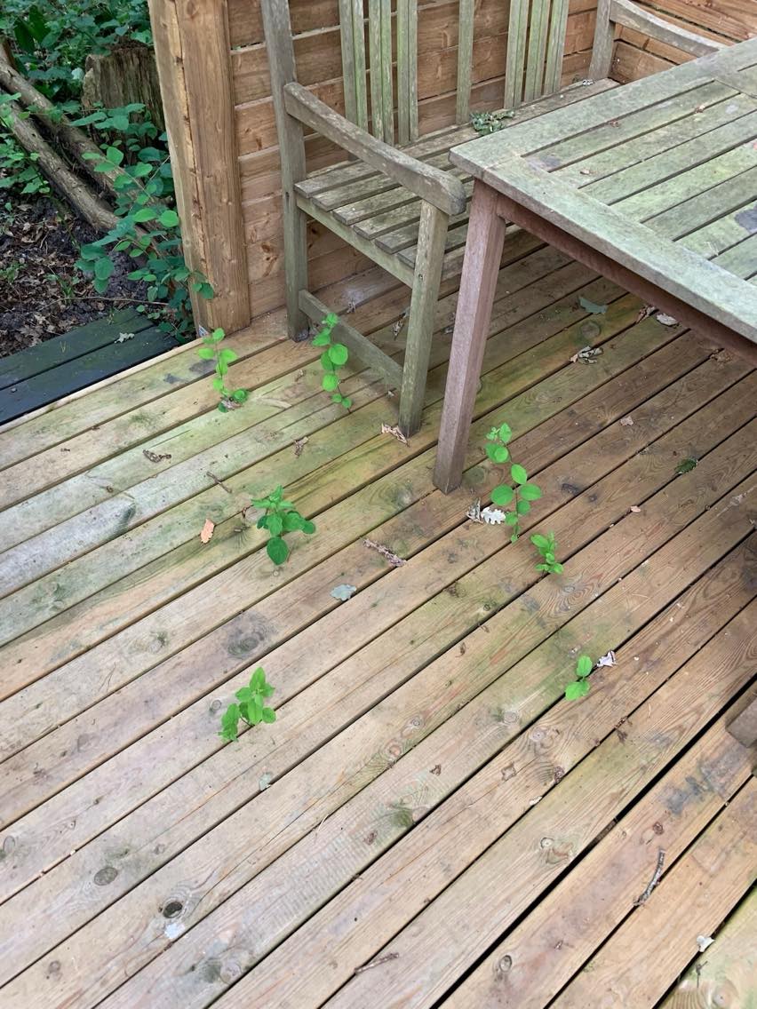 Ordne terrasse og vaske havemøbler ned