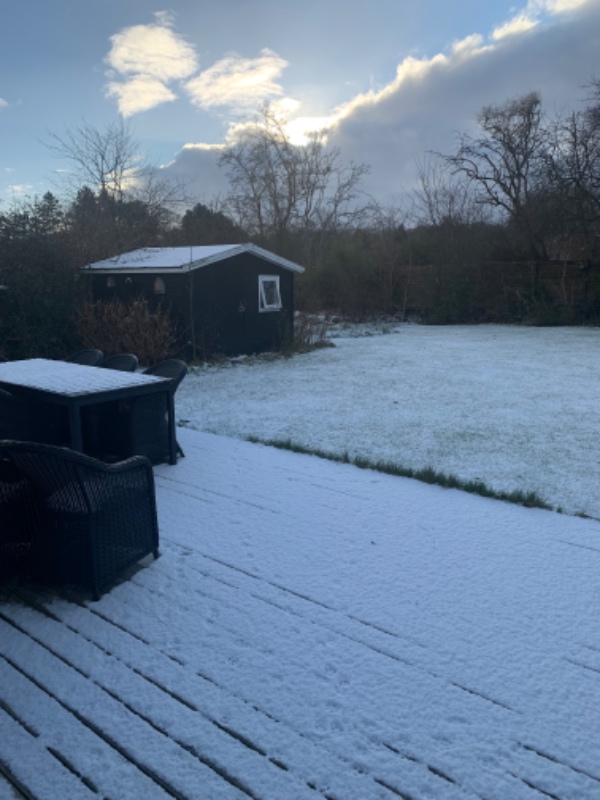 Nyt tag på haveskur