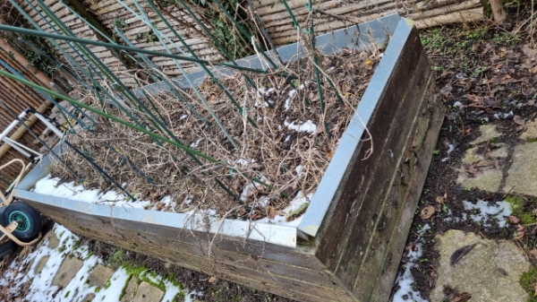 bortskaffelse af 2 højbede