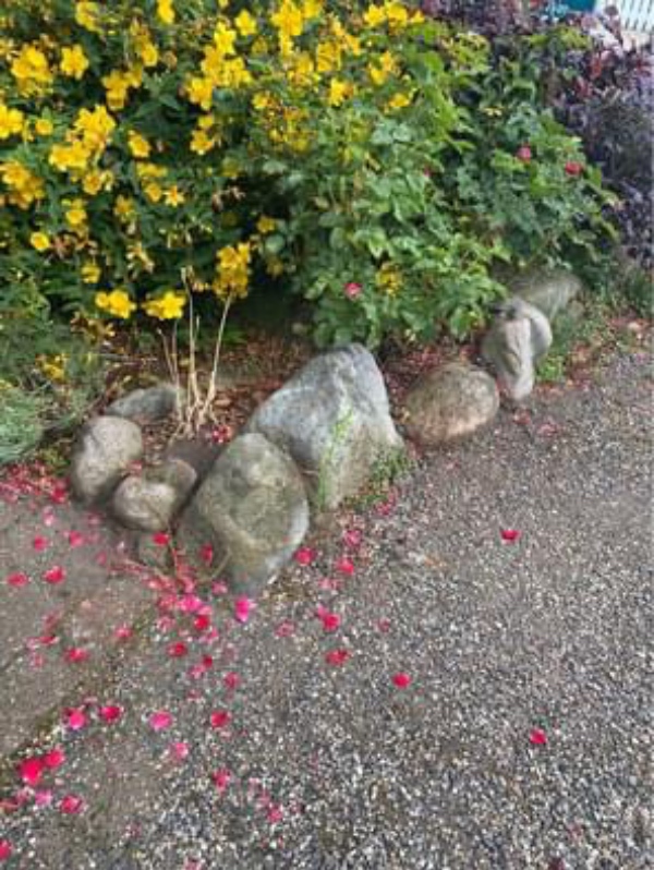 Flytning af tunge kampesten