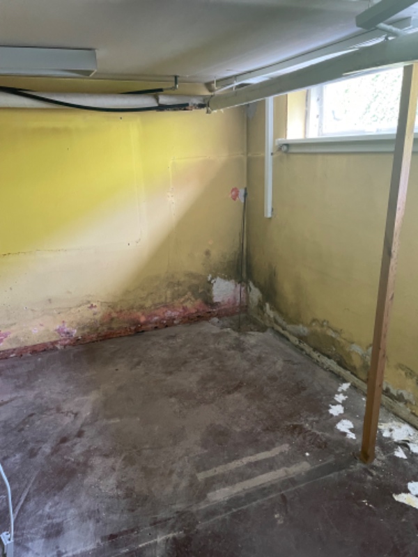 Fjern tapet og bank udvendig fugt plamager af i kølderrum