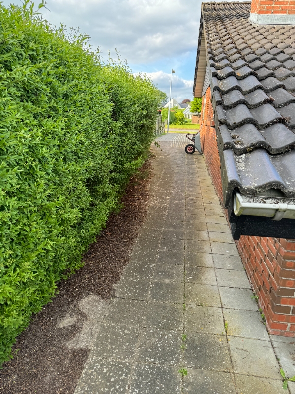 Fjernelse af pil og haveaffald