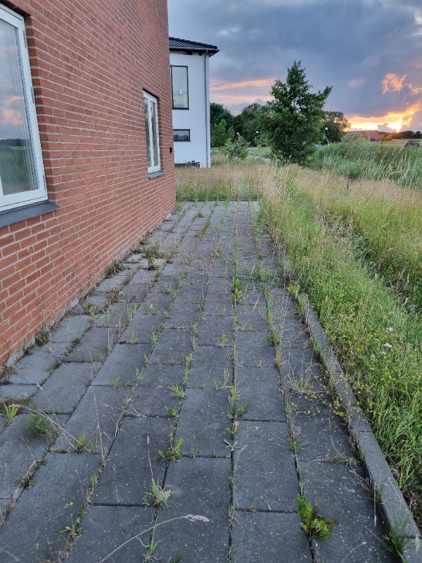 Fjernelse af ukrudt mellem fliser