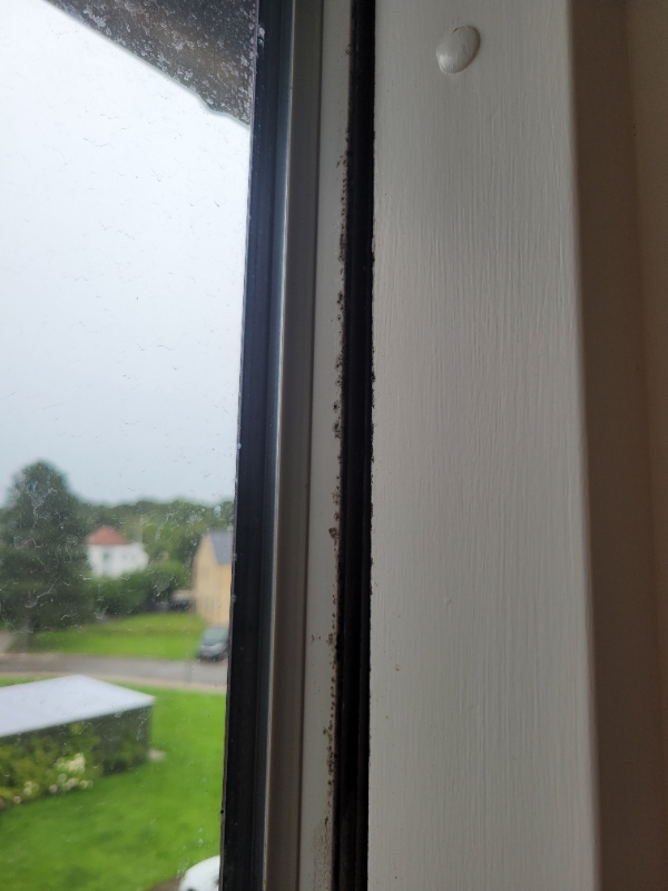 Sanering og vask af skimmelsvamp på tre vinduespartier