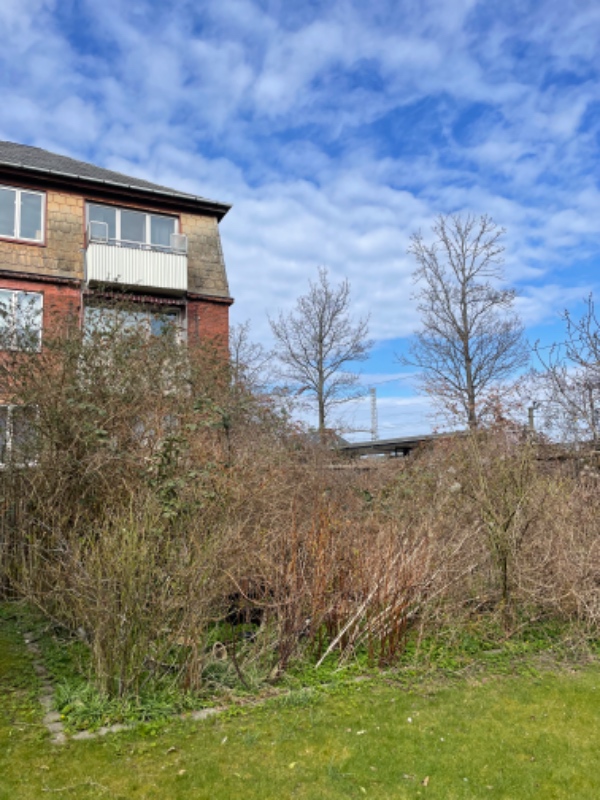 Have der ikke er vedligeholdt