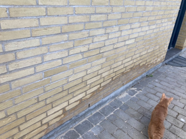 Sokkelreparation og fugning