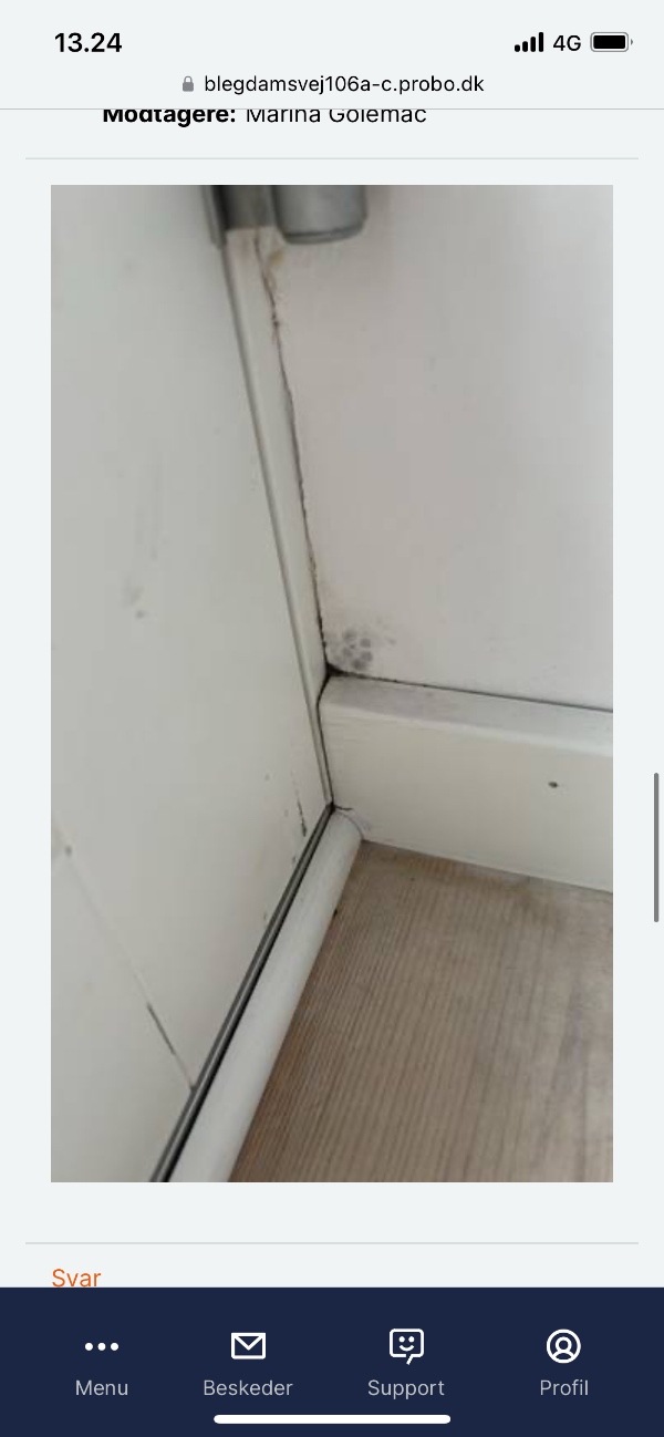 Reparation af altandøre