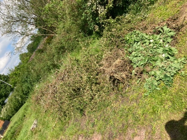 Garden waste and rubbish removal