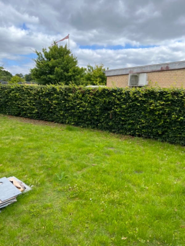 Græs slåning og klippe hæk