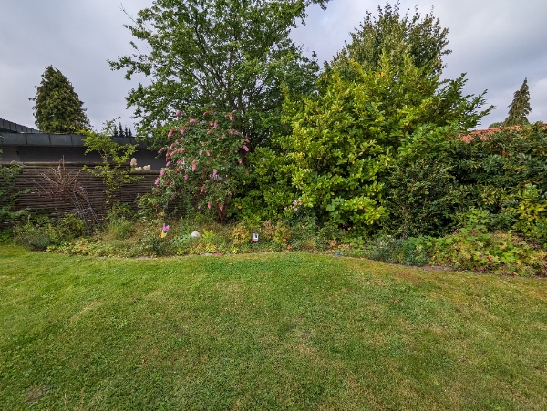 Udlugning og pleje af 20 m lauerbærhæk, evt planting af 4-5 nye hækplanter. Grovlugning af bede.