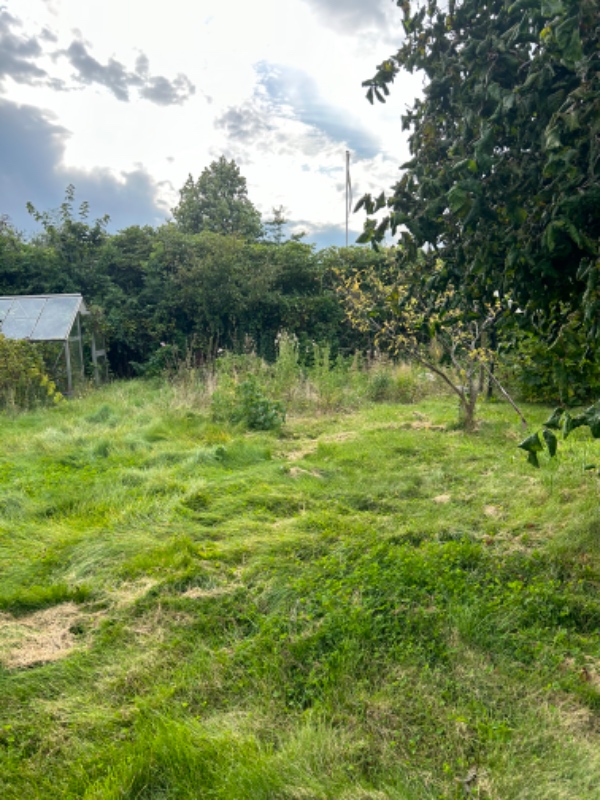 Græsslåning + ukrudt