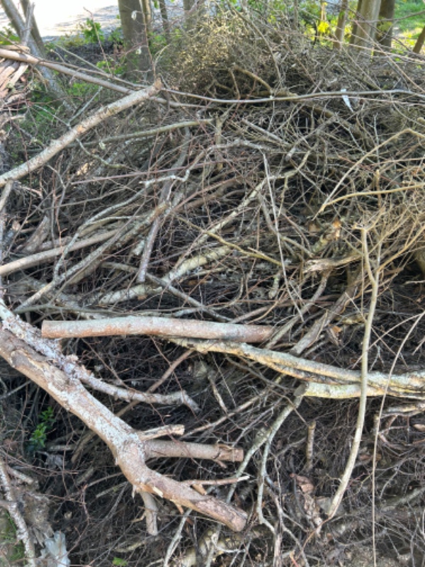 Haveaffaldsbortskaffelse: Grene og blade