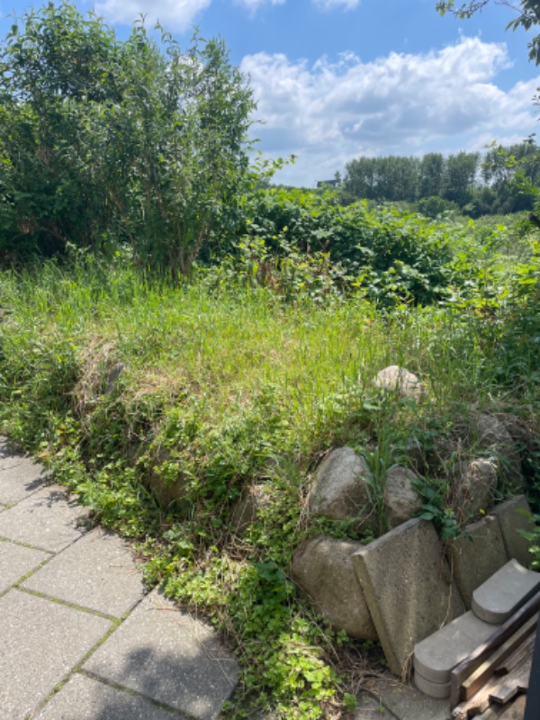 Rydning af bed med kampesten