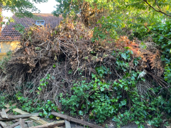 10 m3 haveaffald skal bæres ud og køres væk