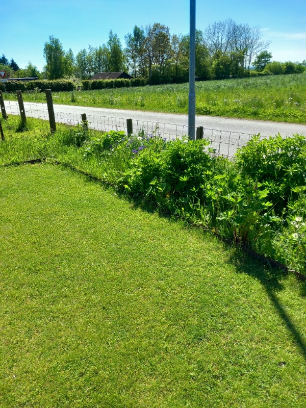 Staudebedlugning og hækklipning
