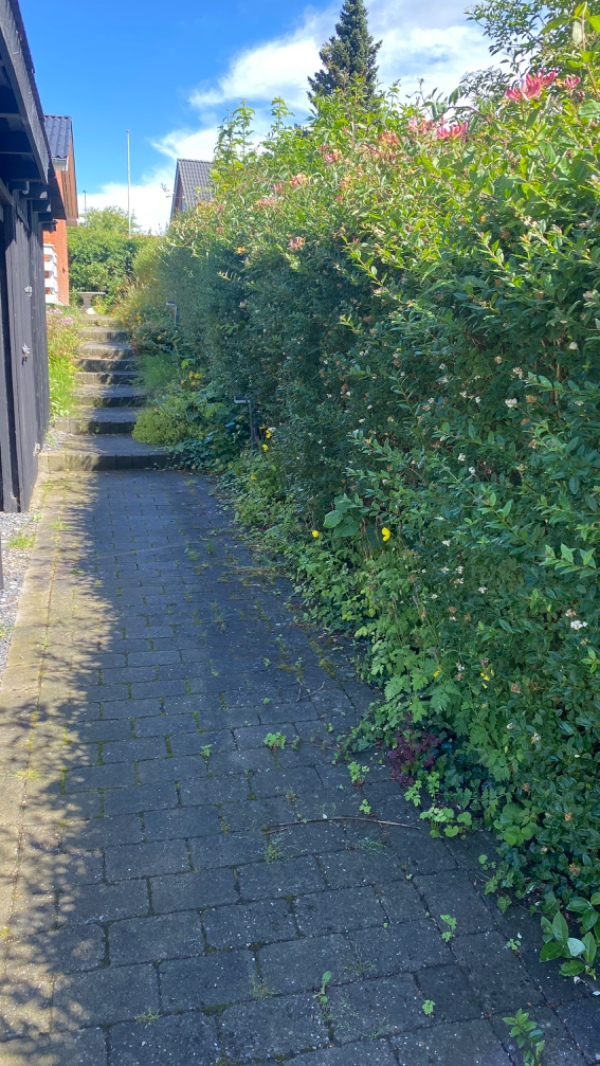 Klipning af hæk og fjernelse af affald