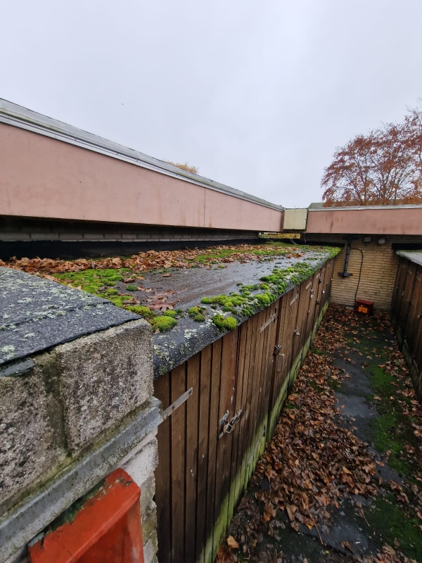 Fjernet mos fra tag over en ejerforenings skure (kræver faktura udskrivelse)
