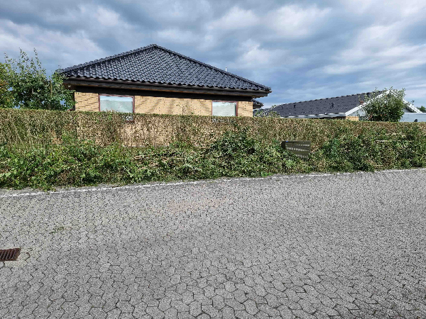 Fjernelse af haveaffald