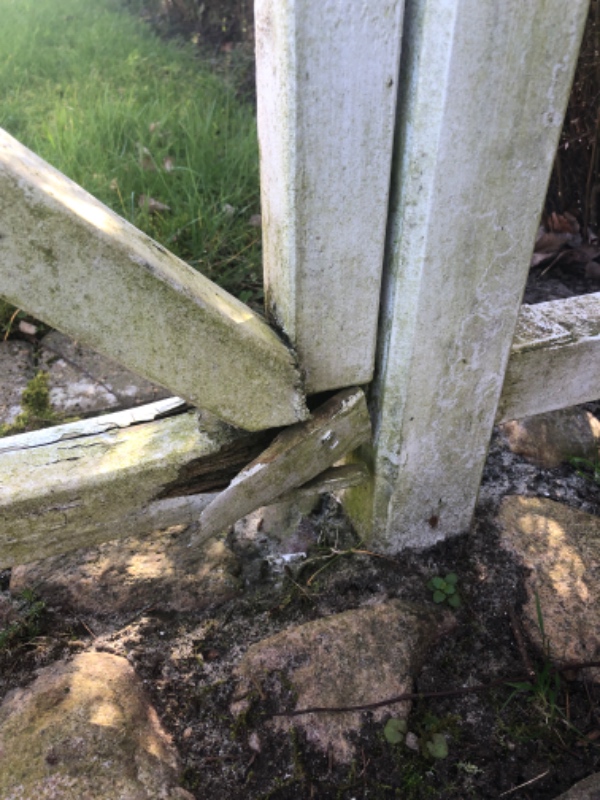 Reparation og maling af træhegn