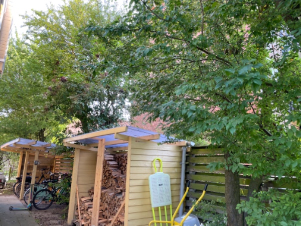 Beskæring af træer