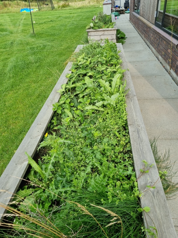 Havearbejde samt bortkørsel af stort affald.