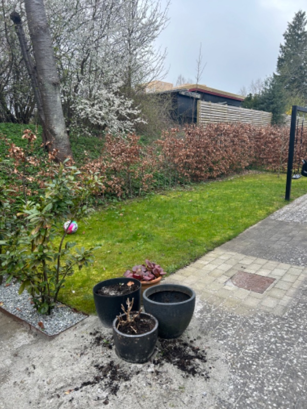 Trampolin opsætning i have