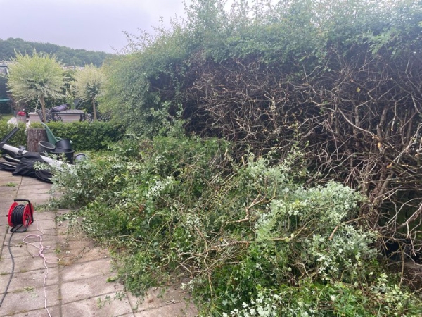 Bortkørsel af haveaffald uge 27